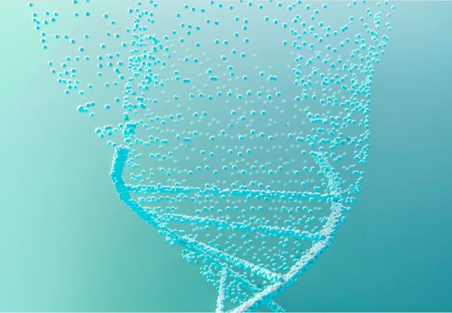 virtual 3d visual of double helix DNA DNS